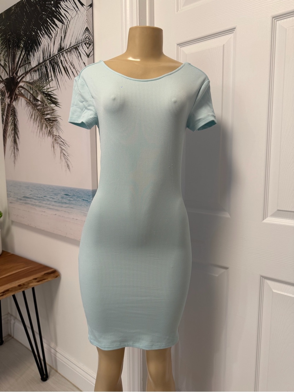 Women’s Short Sleeve Ribbed Bodycon Dress in Light Blue
